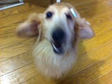201228ダブル3