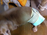 201228ダブル2