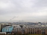 93c1b538.jpg