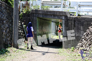 C84_kakusam004