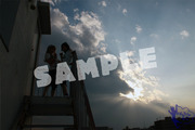 C84_LTsam006