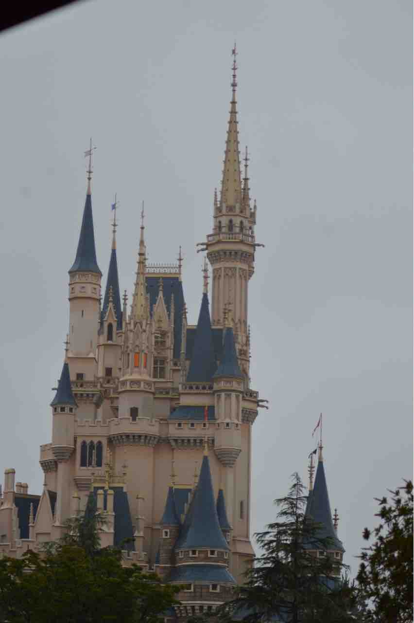 ランドへ行ってきました : 子供と楽しむディズニー備忘録