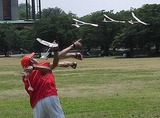 9164fe00.jpg