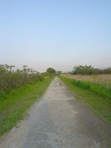 DSC00053