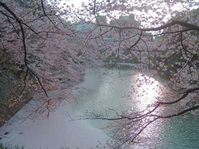 千鳥が淵