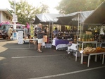 OPEN AIR MARKET
