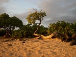Old Kona Airport Beach State Park