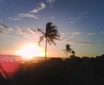 ��ropical��sunset