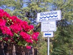 SHORE LINE