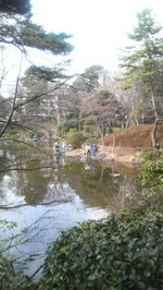 49e05471.jpg