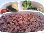 発芽玄米黒米弁当