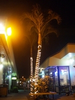 COCONUT GROVE MARKETPLACE