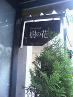 Flor de cafe 銀座 樹の花