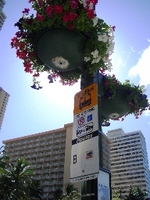 KALAKAUA AVE.
