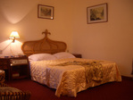 REX HOTEL