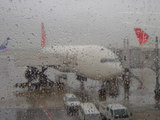 d4365f70.jpg