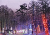 53f3d94d.jpg