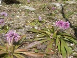 f718eea2.jpg