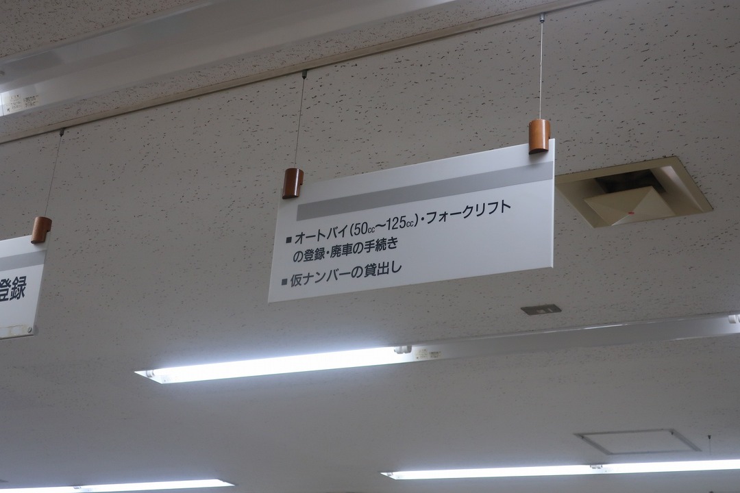 仮ナンバー (5)