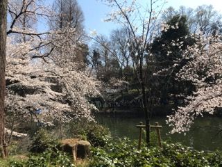 2018.03.25.井の頭公園