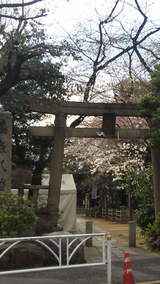 a7a077f5.jpg