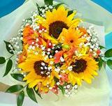 �ҥޥ���«