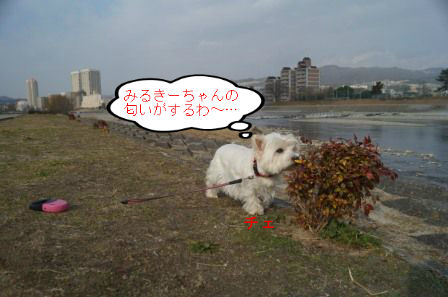 BlogPaint