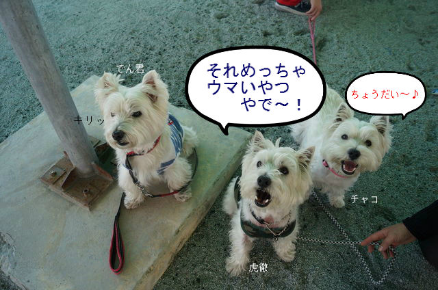 BlogPaint