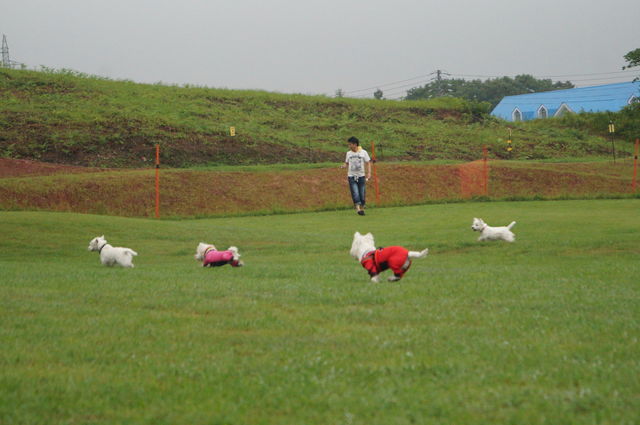 DSC09184