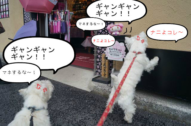 BlogPaint
