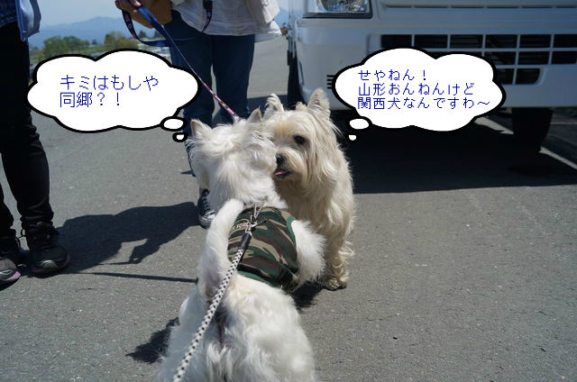 BlogPaint