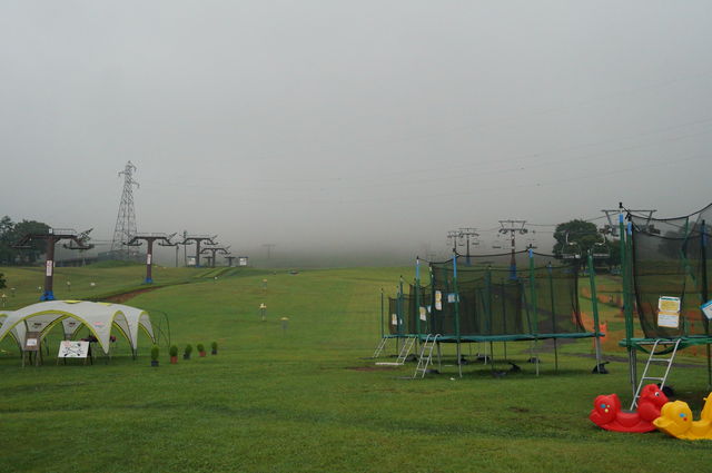 DSC09203