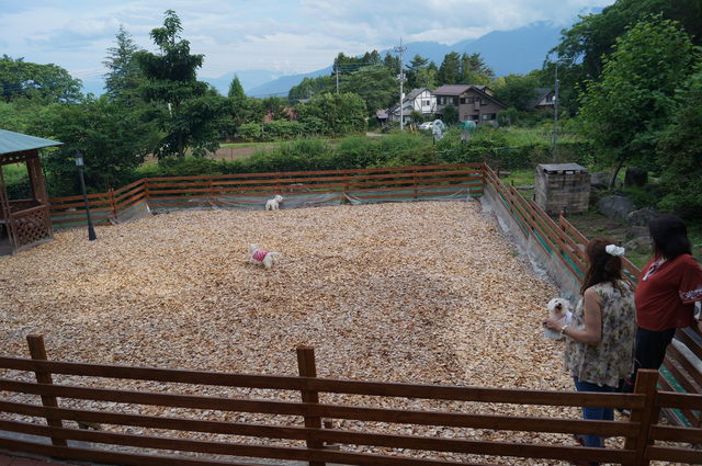 DSC08270