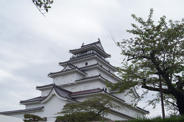 DSC07442