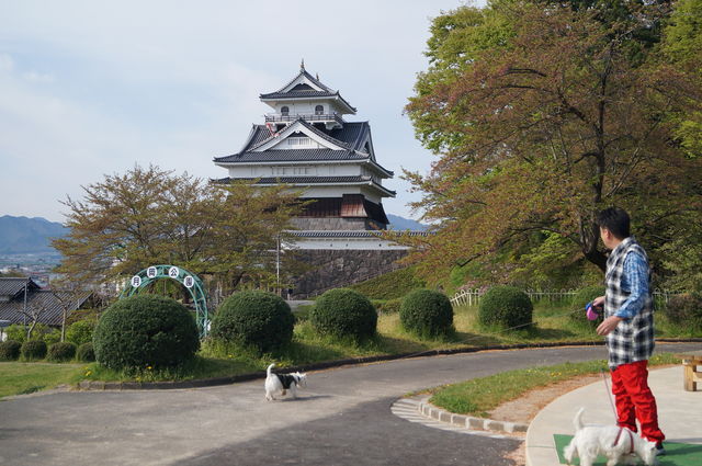 DSC06360