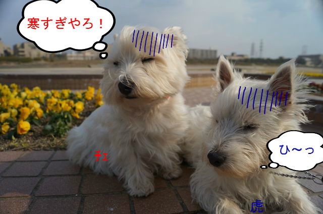 BlogPaint