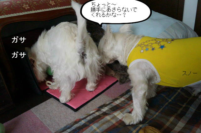 BlogPaint