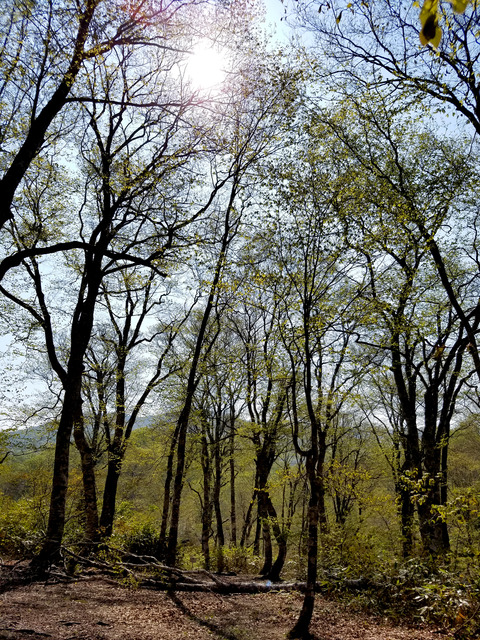 20160521_085714