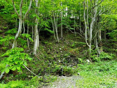 20160521_070917