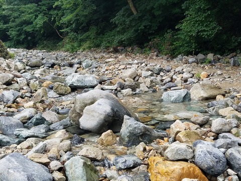 20170804_093429