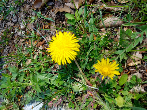 20160521_085616