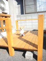 日向ぼっこ