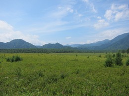 戦場ヶ原