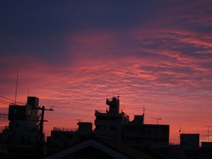 夕焼け
