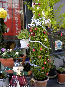 クリスマスツリー2011