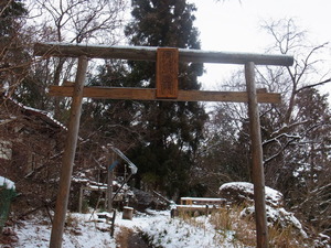 RIMG0140