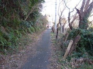 RIMG0287