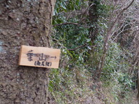 RIMG0262