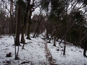 RIMG0139