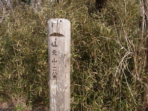 RIMG0255